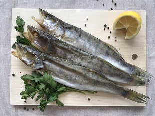 Каталог продукции: Судак вяленый